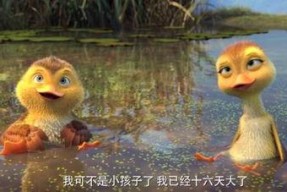 鸭子国产视频,鸭子的趣味生活大揭秘