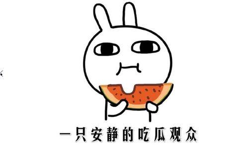 今天吃瓜事件,娱乐圈最新热点事件深度解析