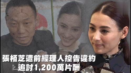 穿越娱乐吃瓜